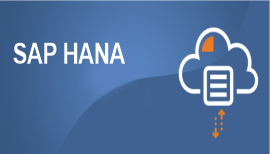 SAP HANA on Prem and Cloud