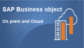 SAP Business object