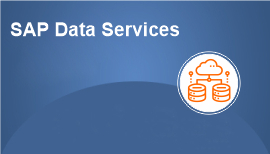 SAP Data Services