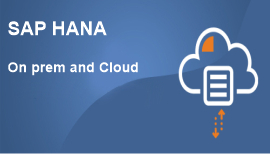 SAP HANA Qlik on Prem and Cloud